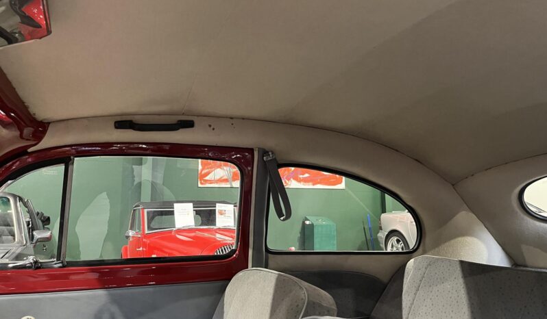 VW Bobbel 1200 oval full