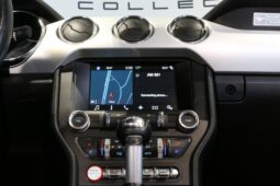 Ford Mustang 5,0 GT Cabriolet full