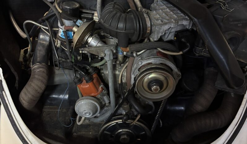 VW Bobbel 1303 Cabriolet Trible White full