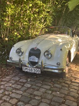 Jaguar XK 120 full
