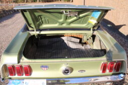 Ford Mustang Cupe full