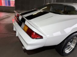 Chevrolet Camaro 2 doors Hard top full