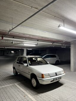 Peugeot 205 Lacoste 1.4 XR full