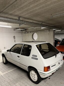 Peugeot 205 Lacoste 1.4 XR full
