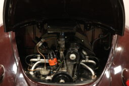 VW Bobbel 1100 Brille full