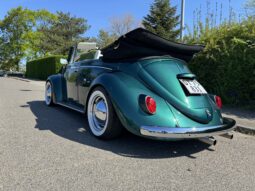 VW Bobbel cabriolet full