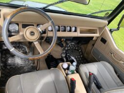 Jeep Wrangler 4,0 full