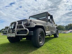 Jeep Wrangler 4,0 full