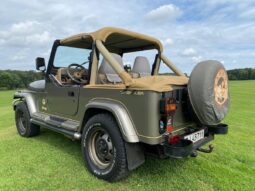 Jeep Wrangler 4,0 full