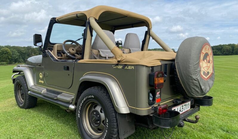 Jeep Wrangler 4,0 full