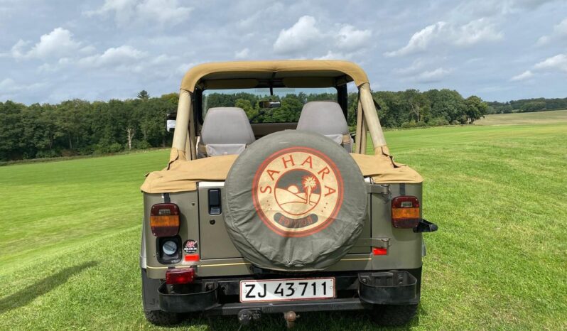 Jeep Wrangler 4,0 full