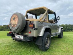 Jeep Wrangler 4,0 full