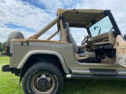Jeep Wrangler 4,0 full