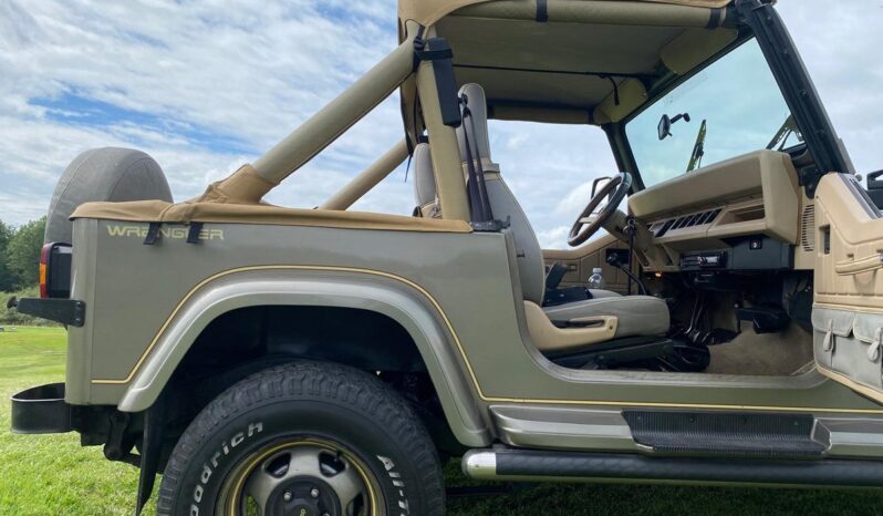 Jeep Wrangler 4,0 full