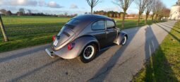 VW Bobbel 111 full