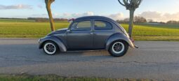 VW Bobbel 111 full