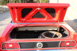 Ford Mustang Cab full