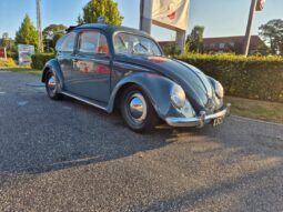 VW Bobbel Zwitter full