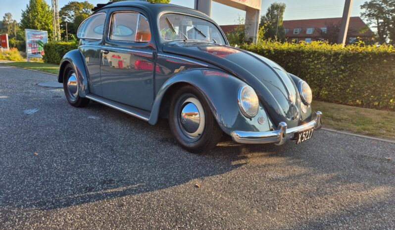 VW Bobbel Zwitter full