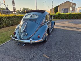 VW Bobbel Zwitter