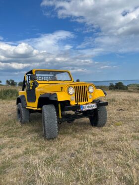 Jeep CJ-7 V8 5,0 4Wd
