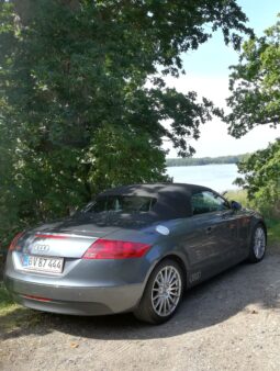 Audi TT Roadster 2,0 full