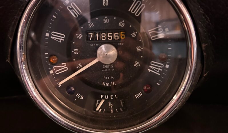 Morris Mascot Pick Up full