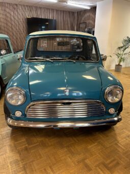 Morris Mascot Pick Up full