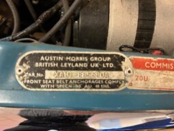 Morris Mascot Pick Up full