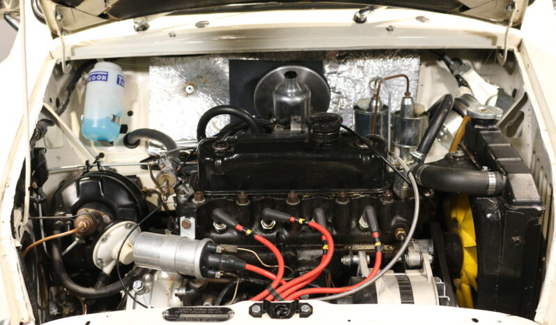 Mini Mini Mascot 1000 full