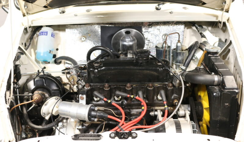 Mini Mini Mascot 1000 full