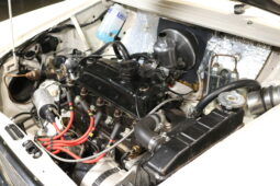 Mini Mini Mascot 1000 full