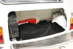 Mini Mini Mascot 1000 full