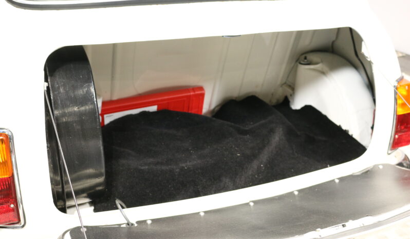 Mini Mini Mascot 1000 full