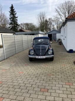 VW Bobbel 1500 cabriolet full