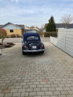 VW Bobbel 1500 cabriolet full