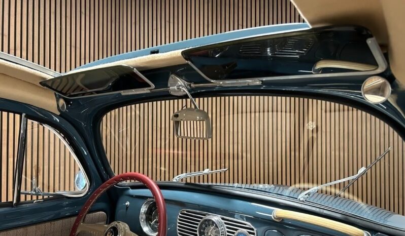 VW Bobbel Zwitter full