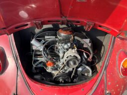 VW Bobbel 1200 – Rat Style full