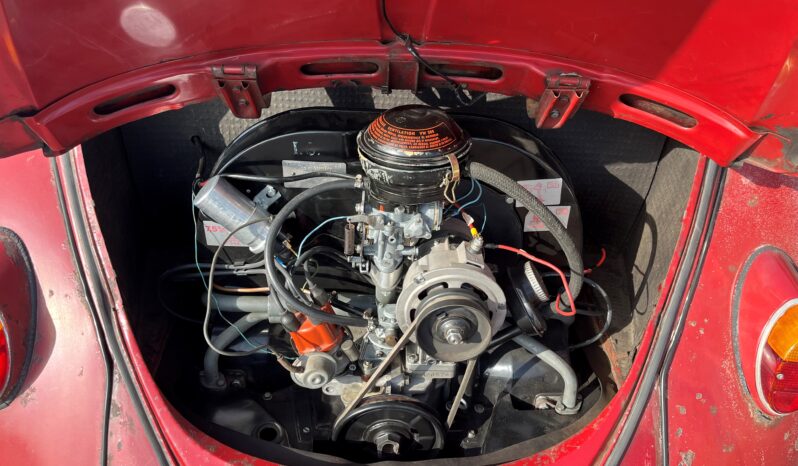 VW Bobbel 1200 – Rat Style full