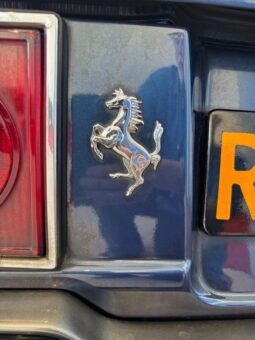 Ferrari 308 Dino GT4 full