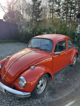 VW Bobbel 1200