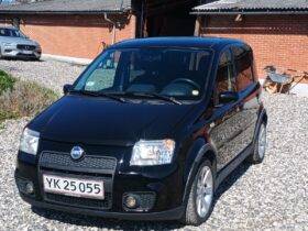Fiat Panda 100HP