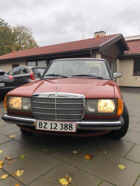 Mercedes-Benz 200-300 (W123) 200