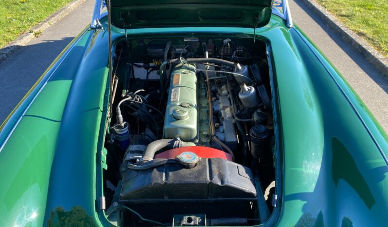 Austin-Healey 100/6 2,6L full