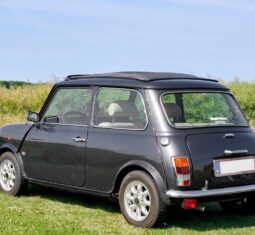 Mini Mini Kensington full