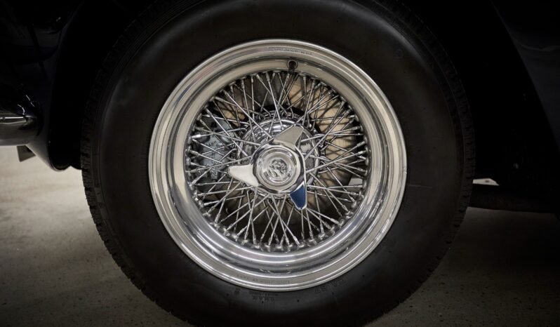 Ferrari 250 Gte full