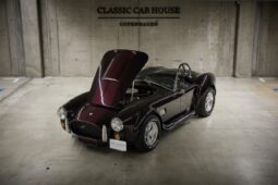 AC Cobra Replica Street Beasts full