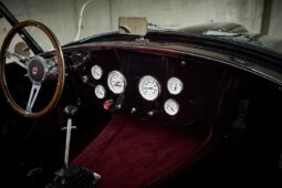 AC Cobra Replica Street Beasts full