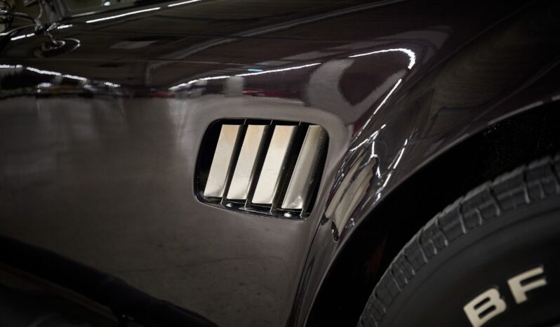 AC Cobra Replica Street Beasts full