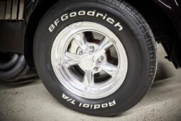 AC Cobra Replica Street Beasts full